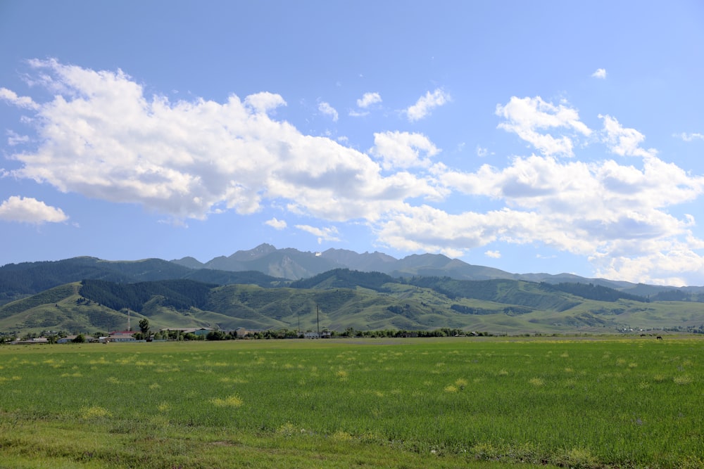 a green field with mountains in the background