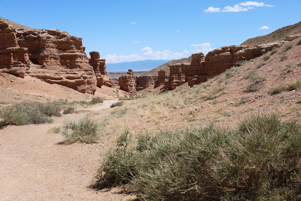 a dirt path in the middle of a desert