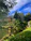 Smiling woman enjoying a serene Japanese garden during her trip.