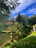 Smiling woman enjoying a serene Japanese garden during her trip.
