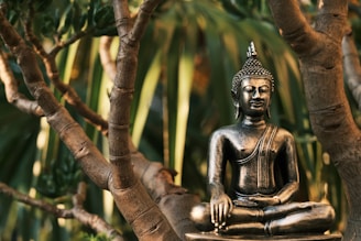 a statue of a buddha sitting in a tree
