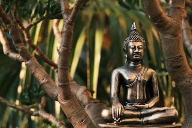 a statue of a buddha sitting in a tree