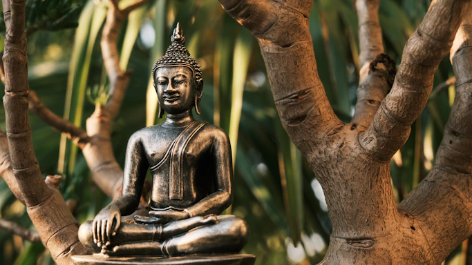 A peaceful Buddha bear sitting under a blossoming cherry tree at sunset.