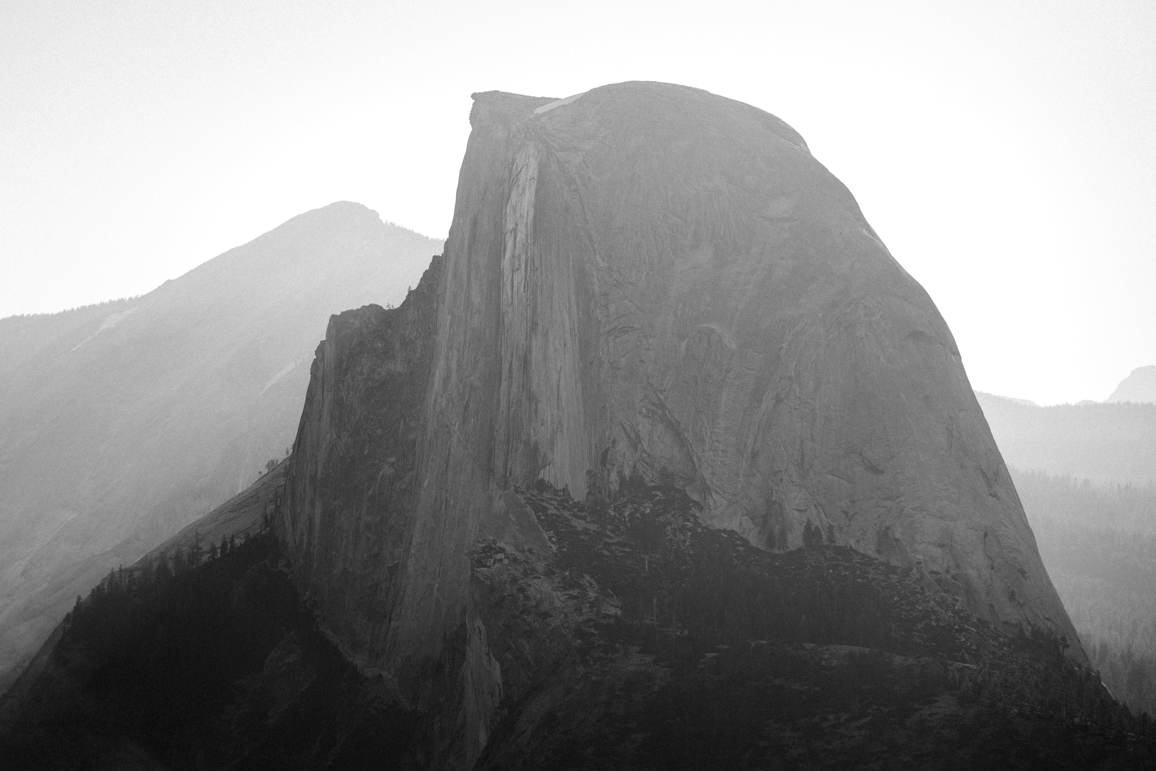 Photo by lifeof_peter_