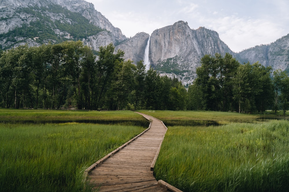 a wooden path leading to a waterfall in the mountains