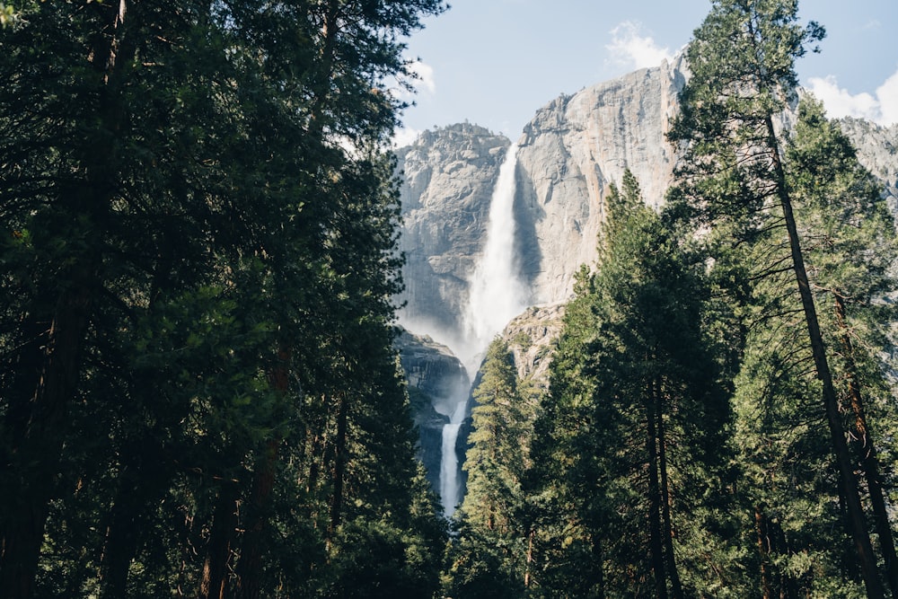 Una cascada alta rodeada de muchos árboles