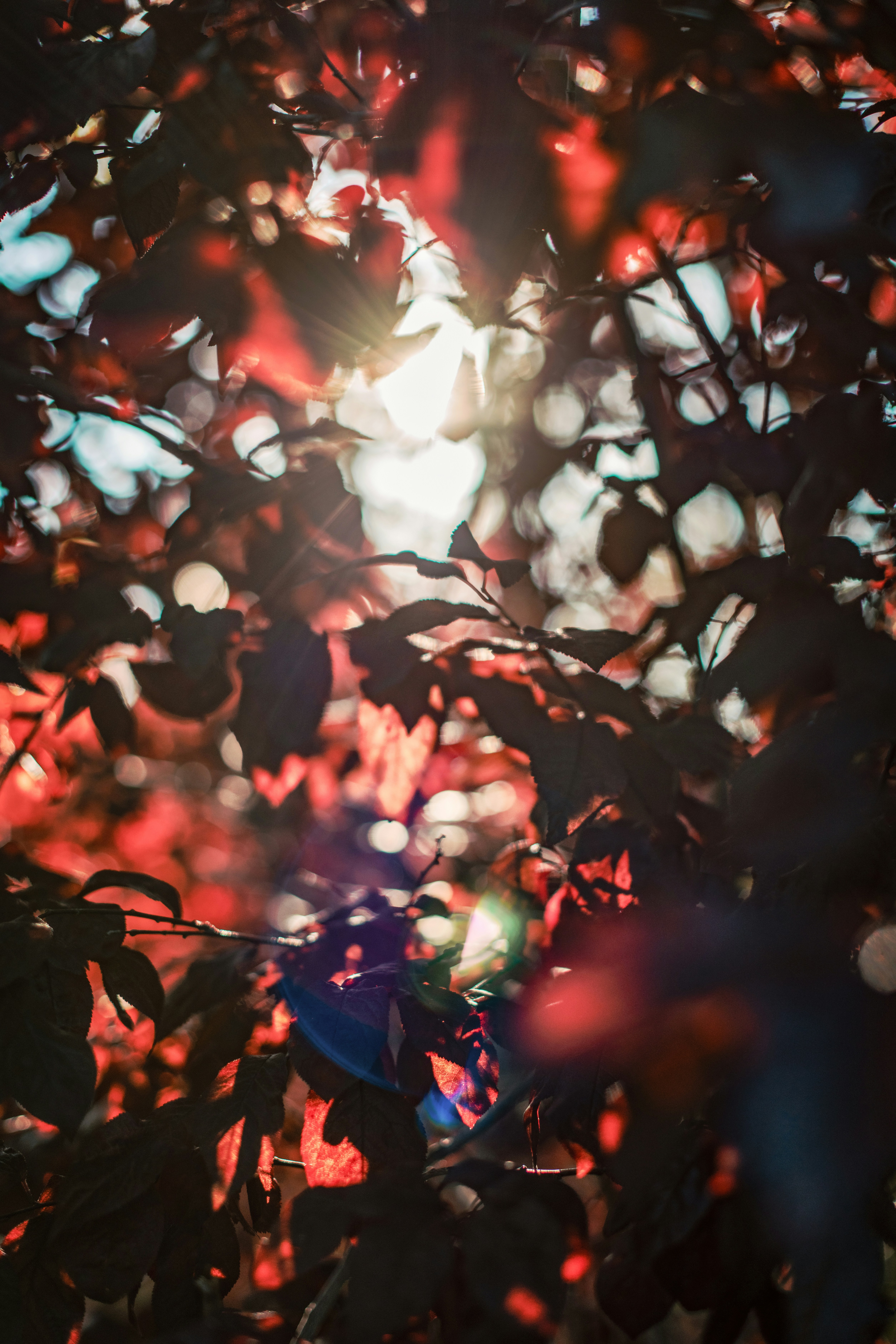 Photo by timmossholder