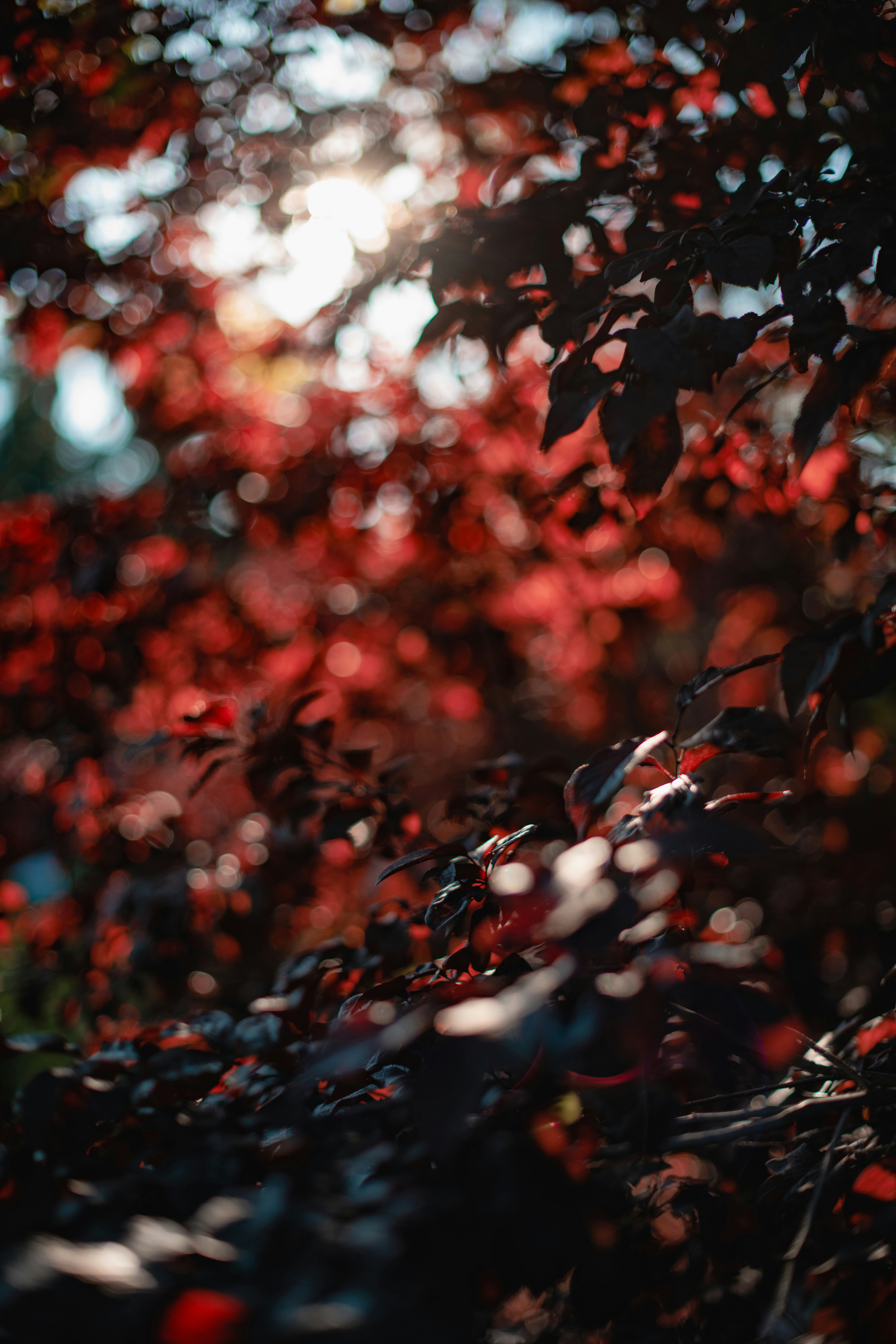 Photo by timmossholder