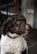 A curly-haired dog with a brown and white coat gazes attentively to the side, wearing a black collar. The background is blurred with a mix of neutral tones, and the scene is likely indoors or in a sheltered area.