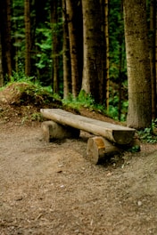 a wooden bench sitting in the middle of a forest