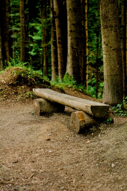 a wooden bench sitting in the middle of a forest