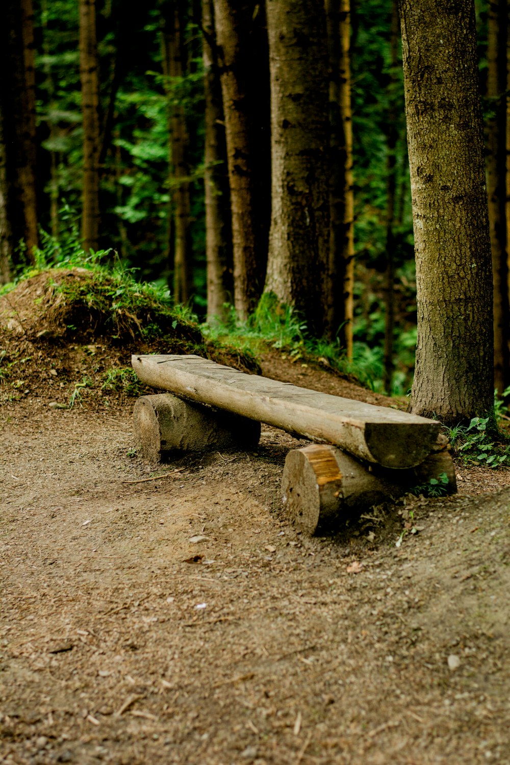 a wooden bench sitting in the middle of a forest