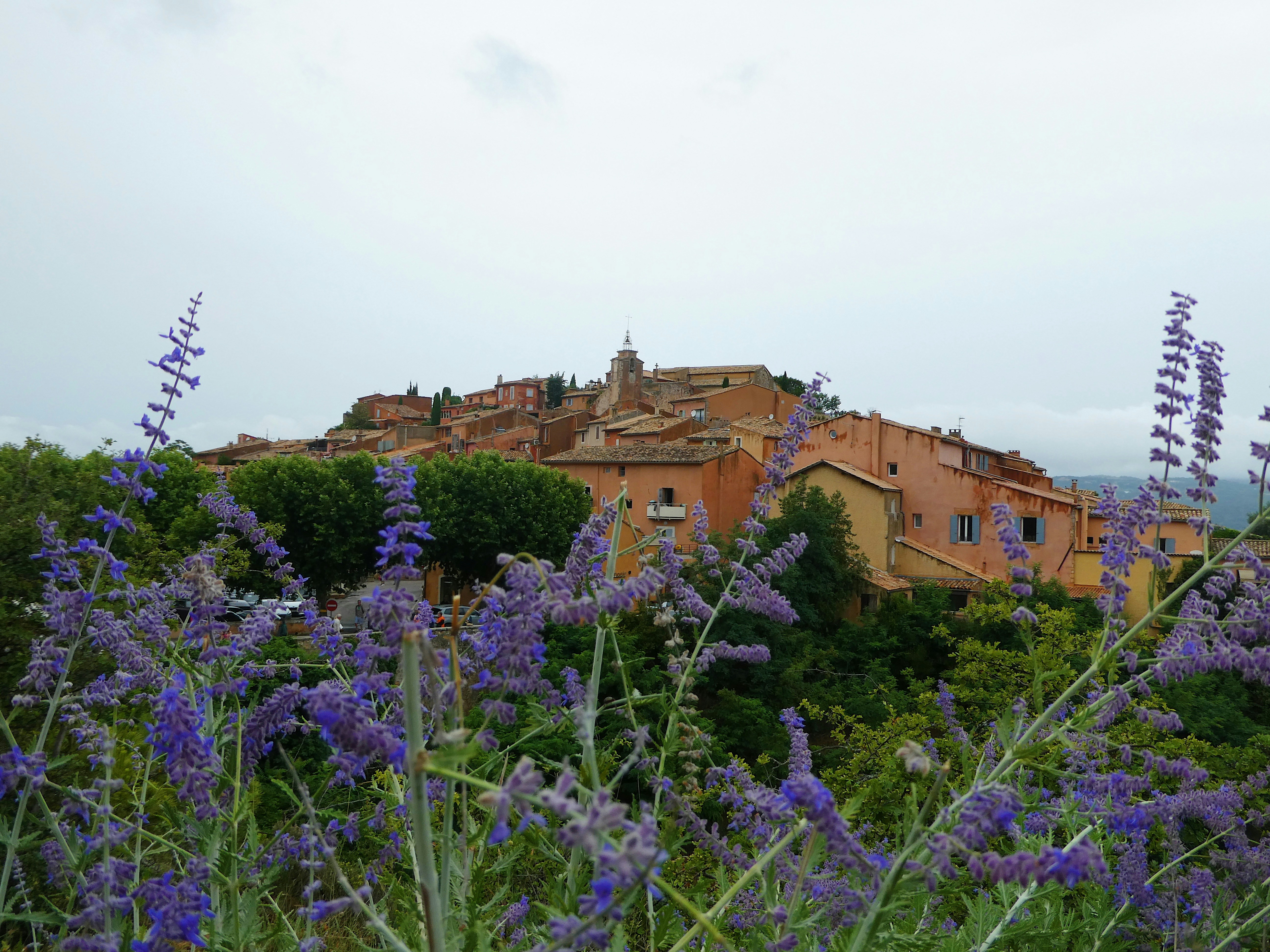 Una vista di un villaggio da un campo di fiori viola
