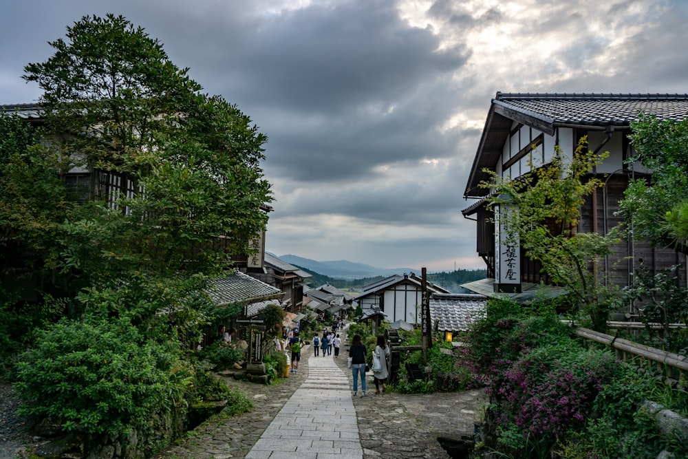 a group of people walking down a walkway next to a lush green forest