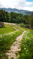 A winding country path lined with wildflowers leading to a rustic wooden farmhouse.