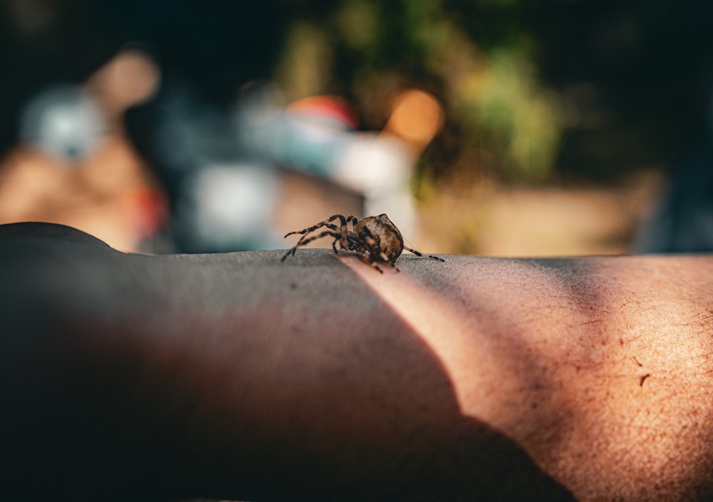 a close up of a person's arm with a spider on it