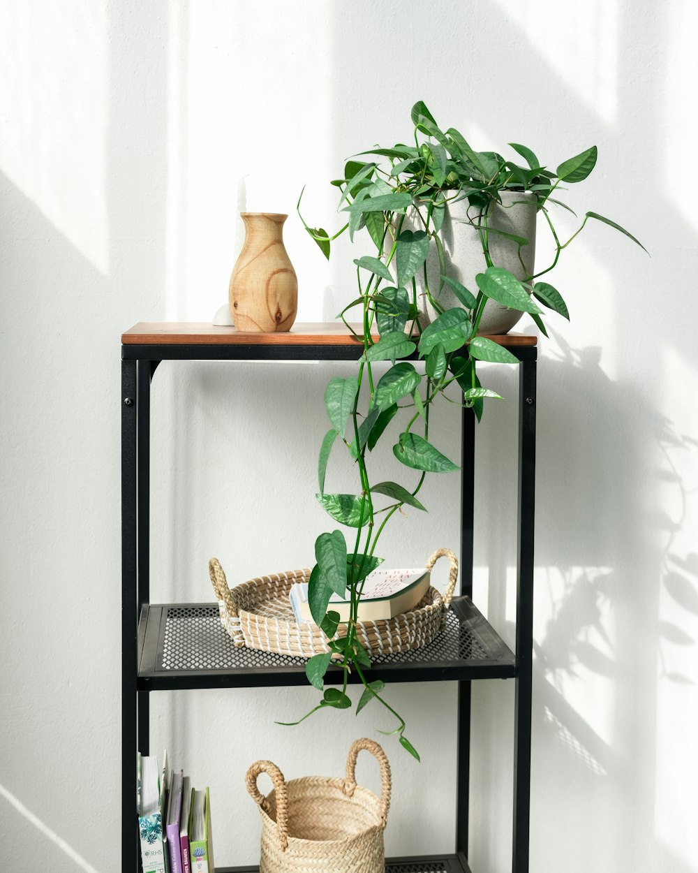 a shelf with a potted plant on top of it