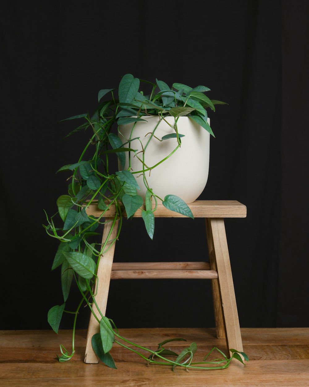 una planta en maceta sentada encima de un taburete de madera