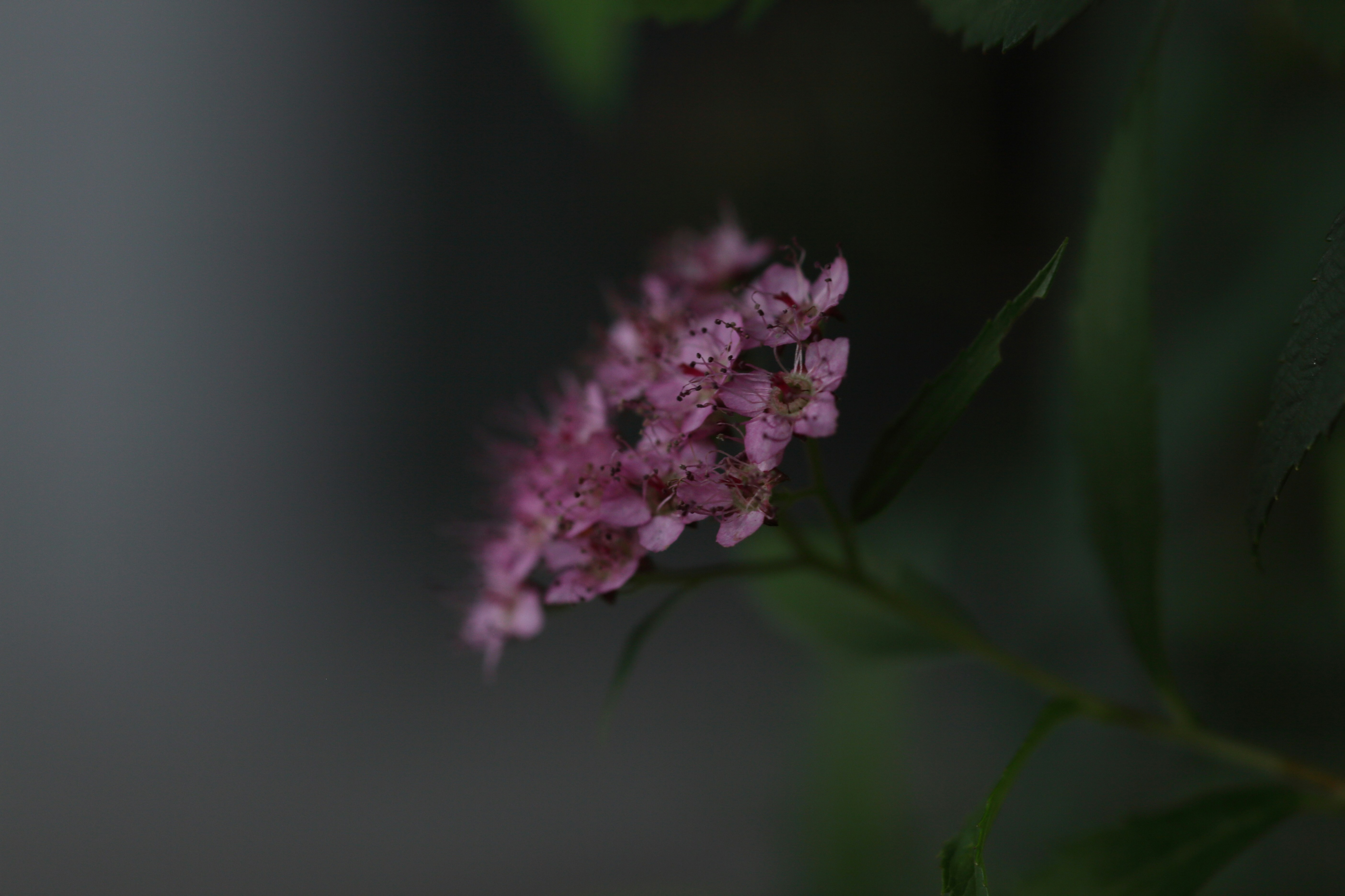 Photo by takatsuchida