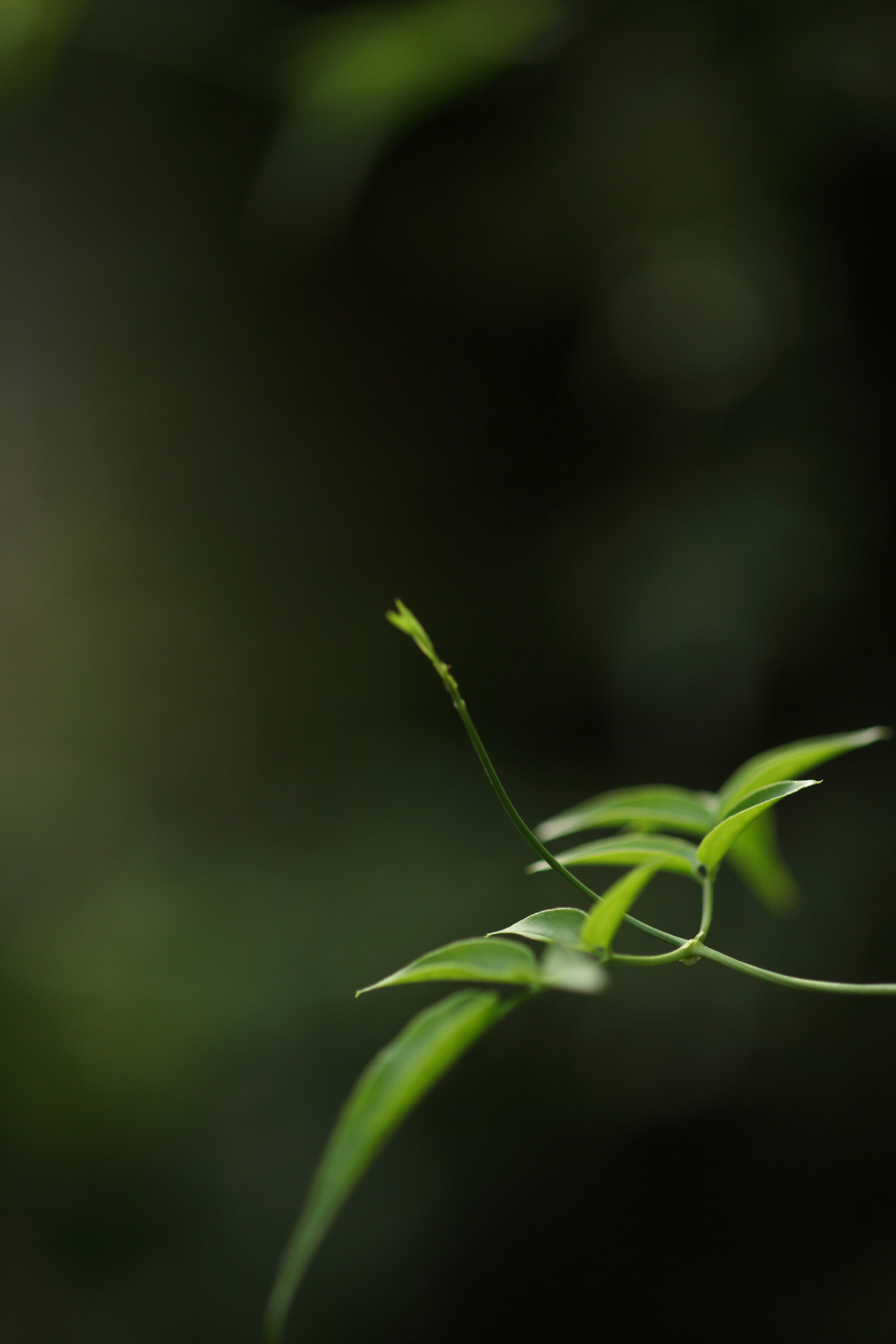 Photo by takatsuchida