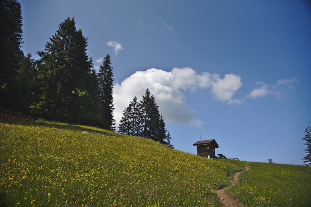 a grassy hill with a small cabin on top of it