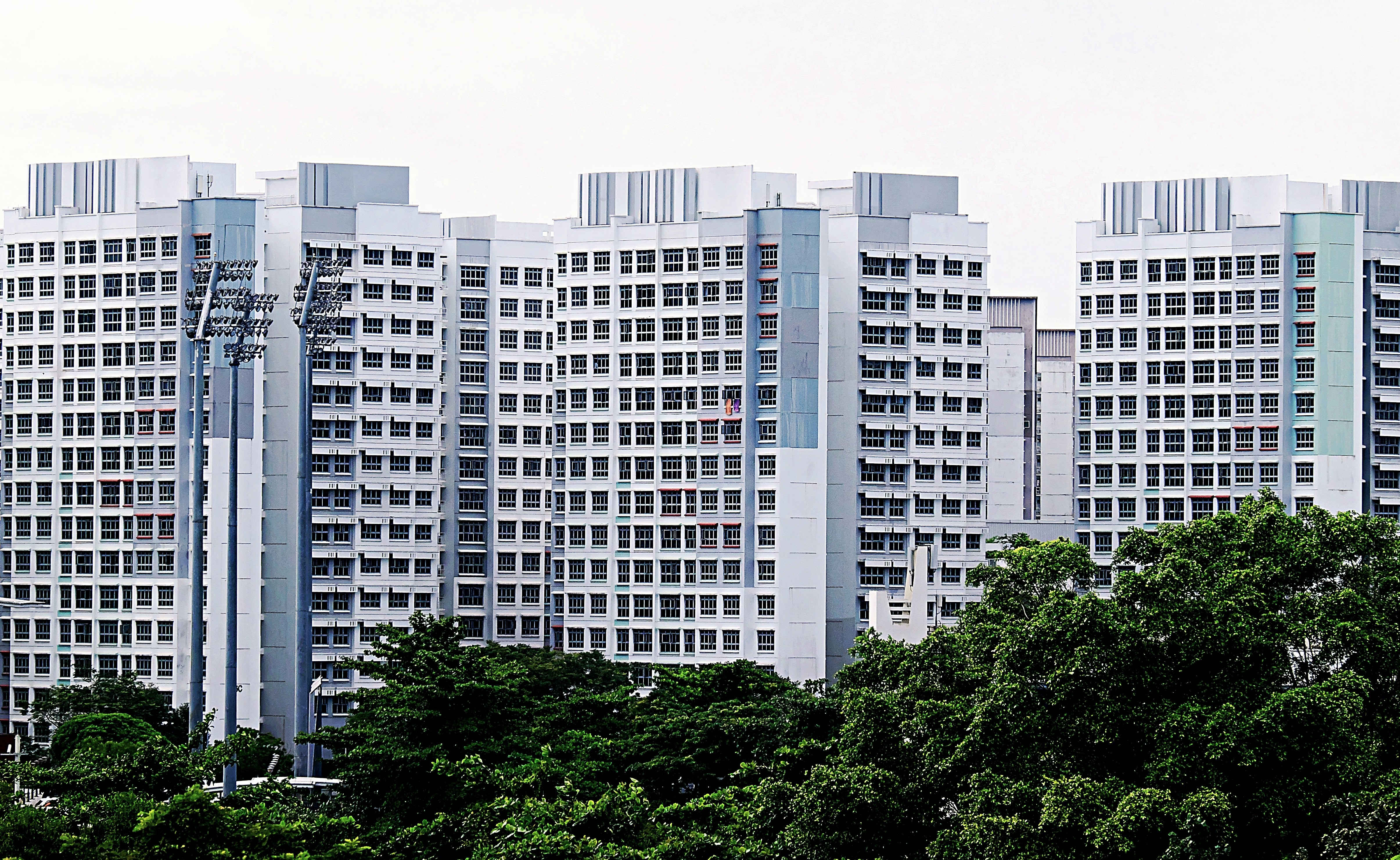 Rental REITs Slump as Trump Vows Ban on Institutional Homebuyers