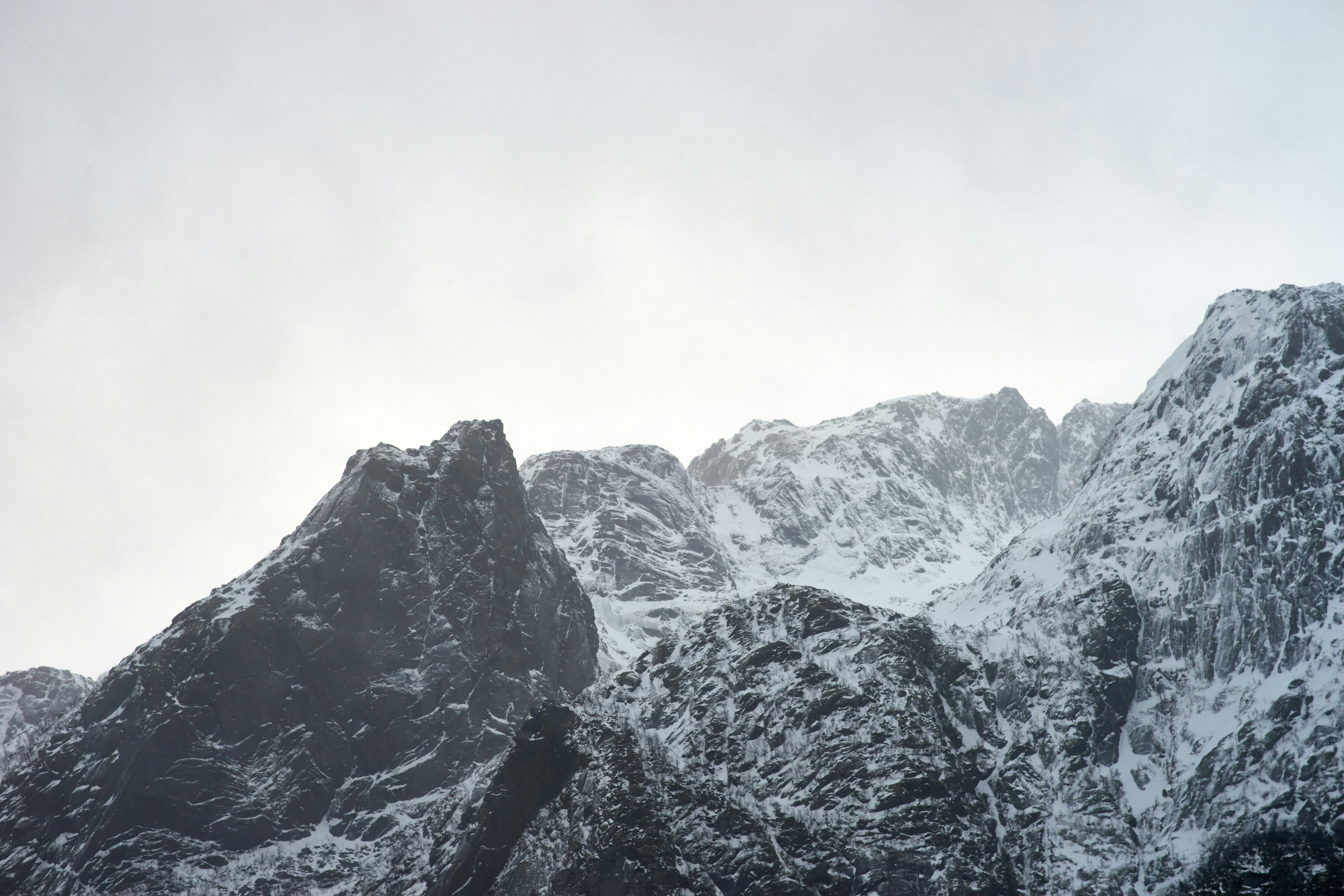 Photo by wolfgang_hasselmann