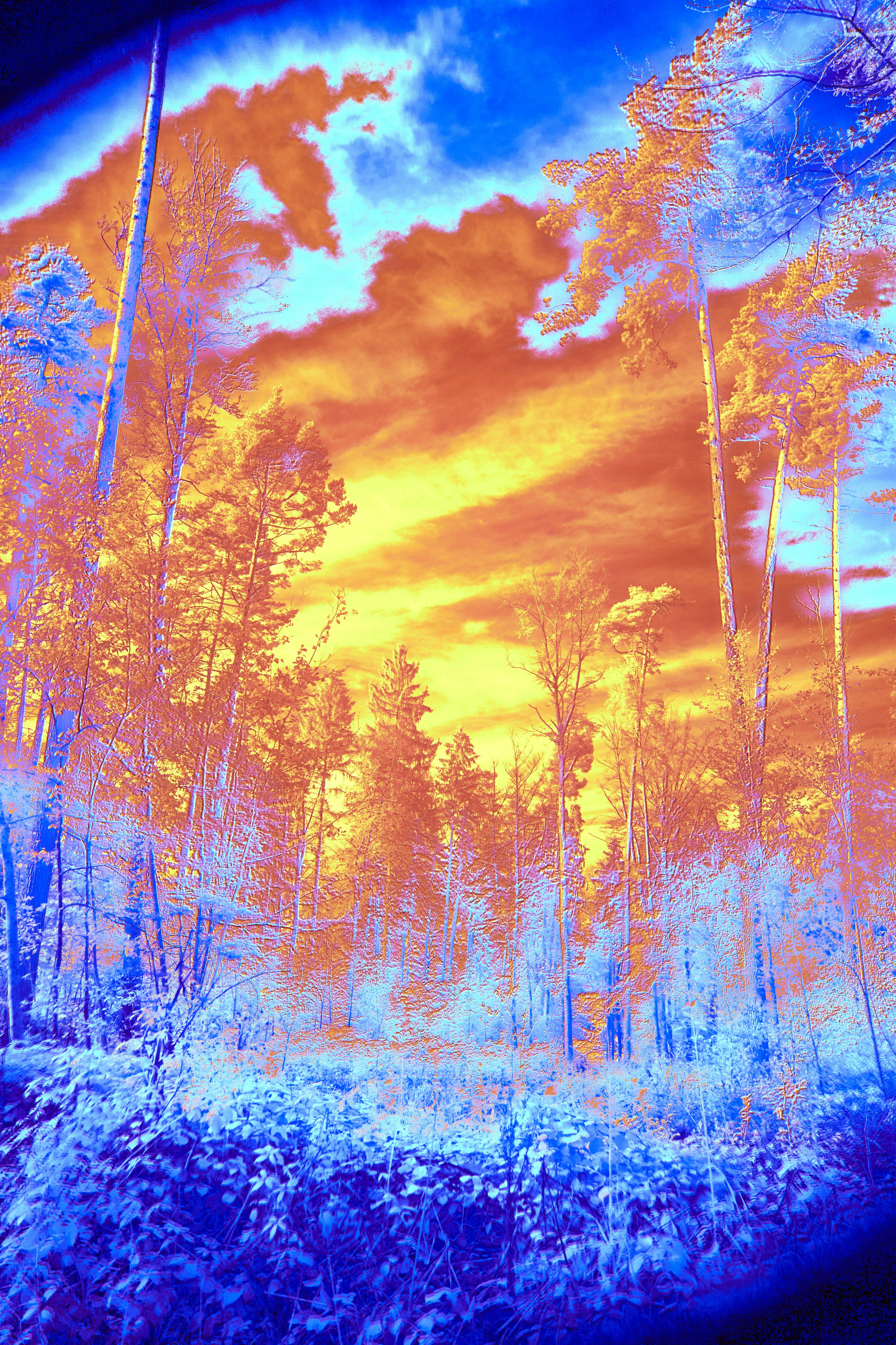 Photo by wolfgang_hasselmann