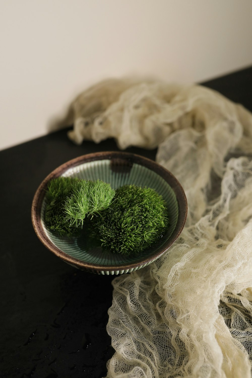 a bowl of green moss sitting on top of a table