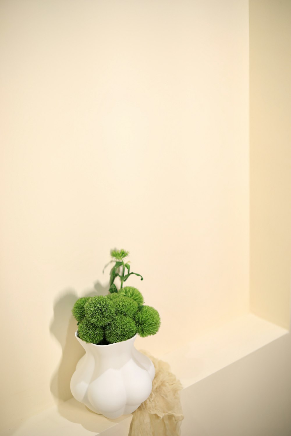 a white vase with a green plant in it