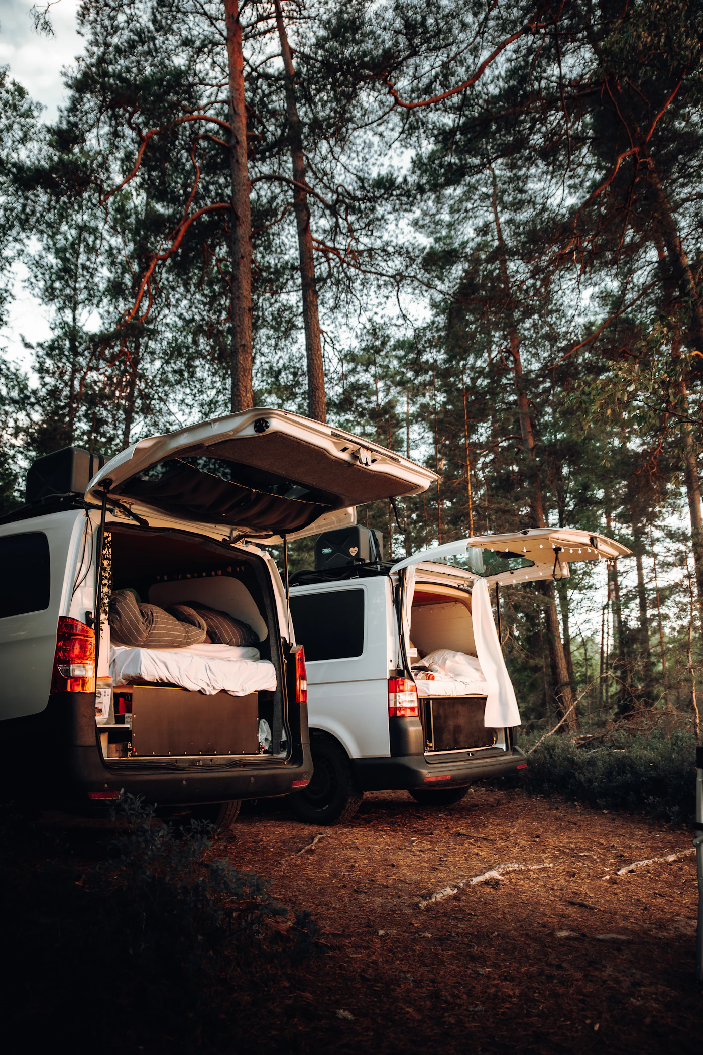 Converted van with a bed parked in the woods
