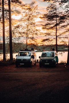 A fleet of light commercial vans lined up in a Birchline lot at sunset.
