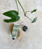 On a textured stone surface, there is a collection of items including a green tube of L'Occitane hand cream resting on a natural bristle brush. Nearby lies a polished stone and a small clear crystal. A green plant with glossy leaves extends into the frame from the top.