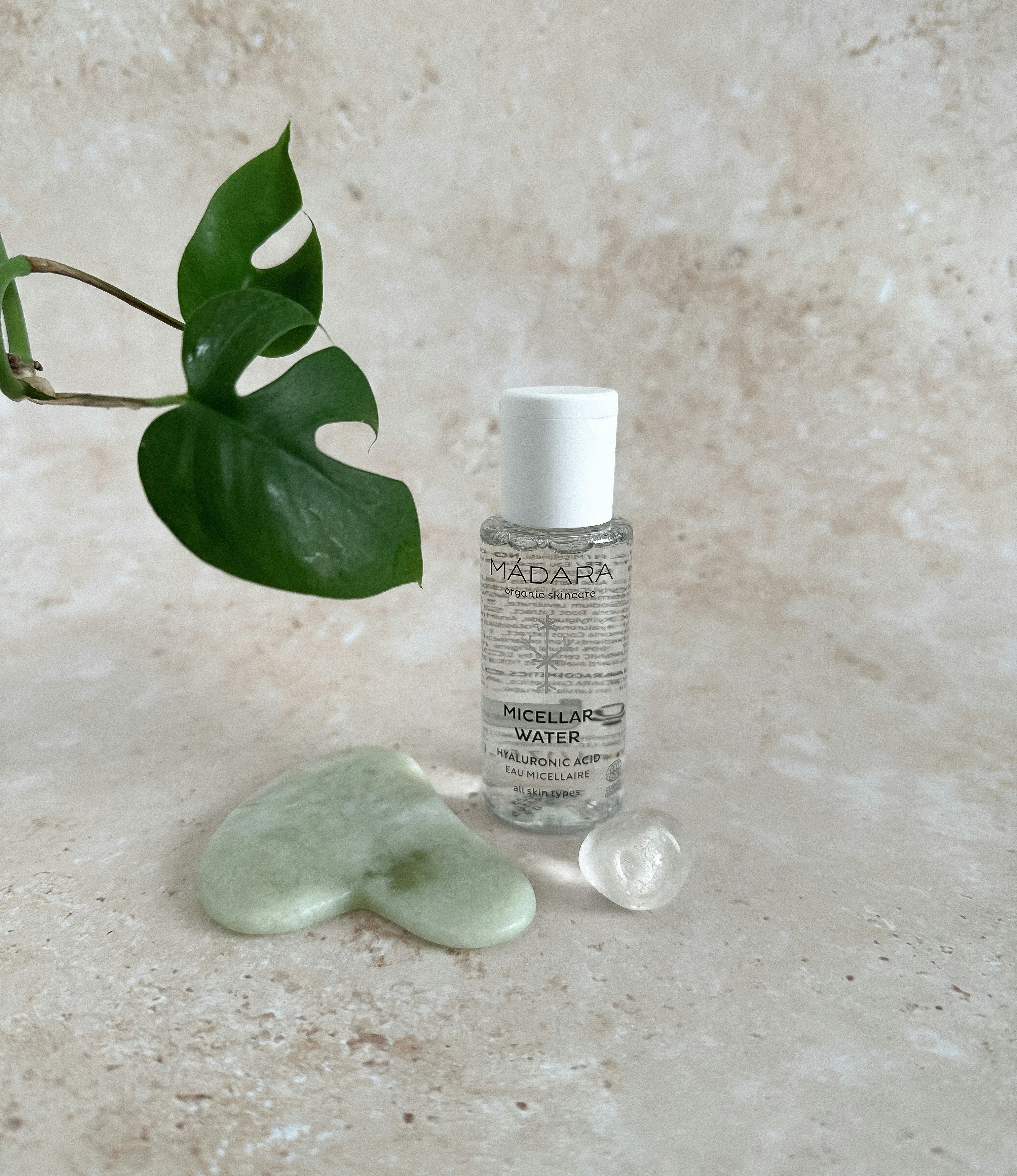 a bottle of face cream next to a plant