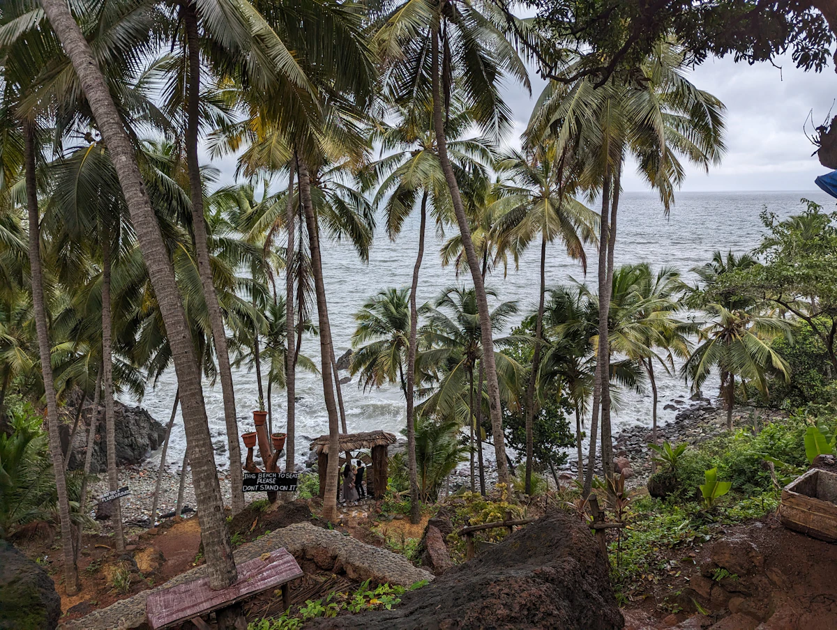 Scenic tropical vacation landscape with lush vegetation and beach
