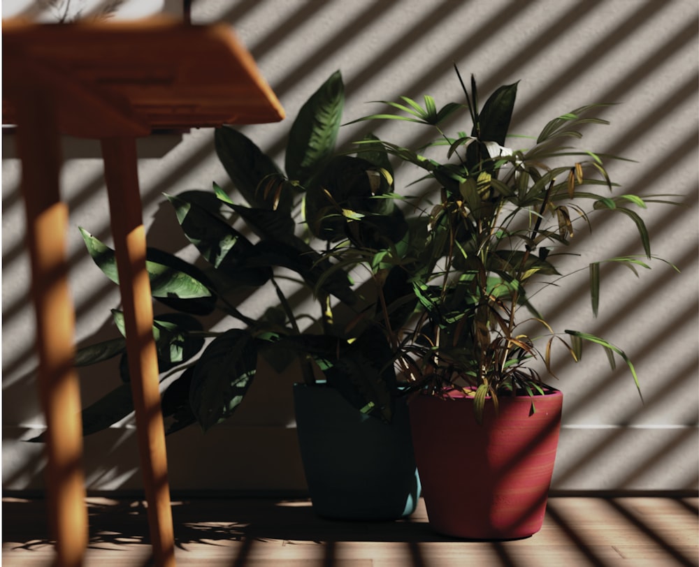 a plant in a pot sitting on a wooden floor