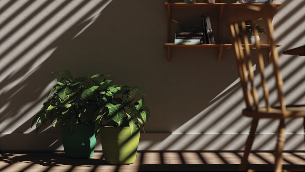 a green potted plant sitting next to a wooden chair