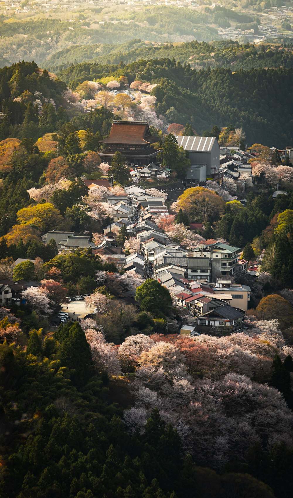 a view of a small town surrounded by trees