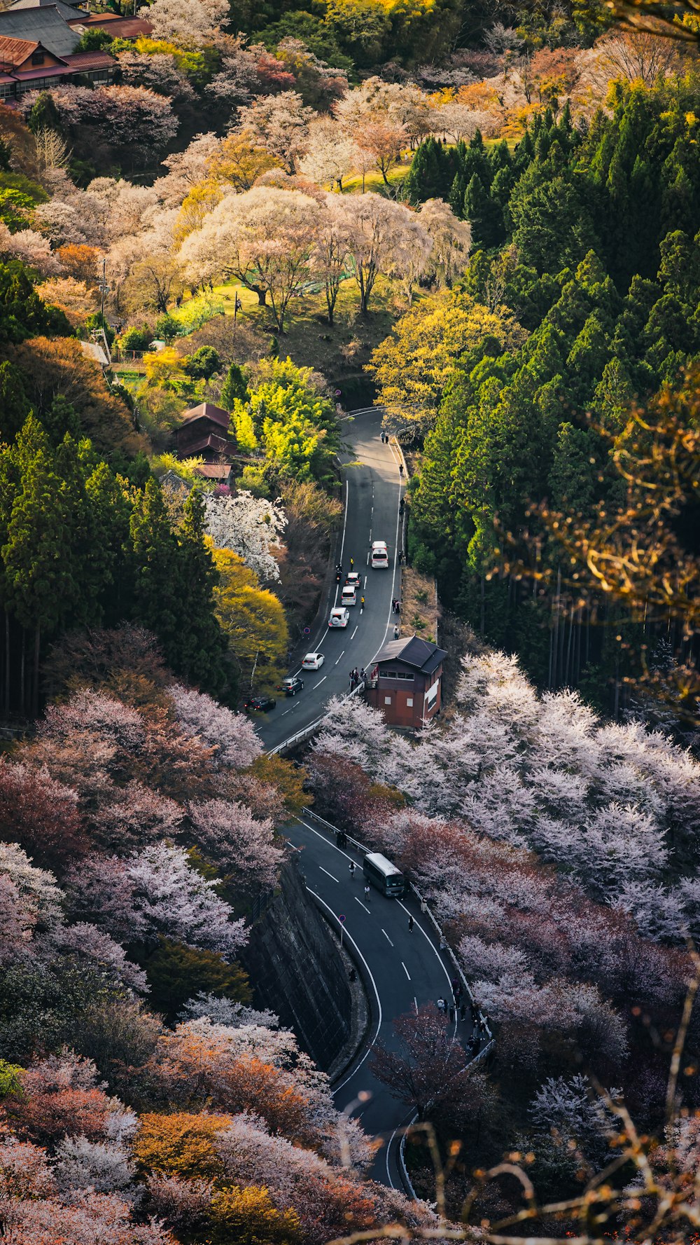 a car driving down a winding road surrounded by trees