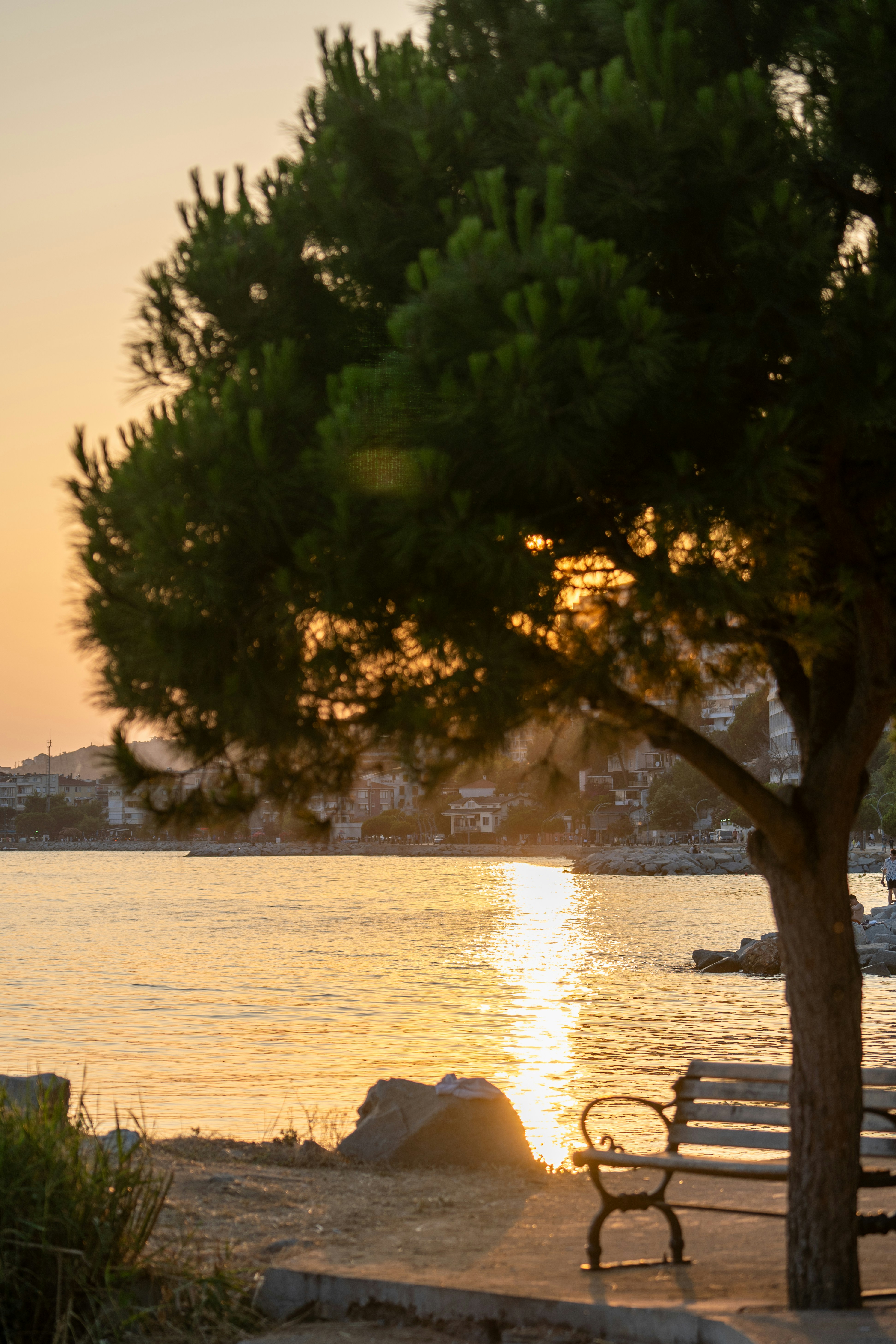 a bench sitting next to a tree near a body of water - a-bench-sitting-next-to-a-tree-near-a-body-of-water-AHB6aqgCRsc