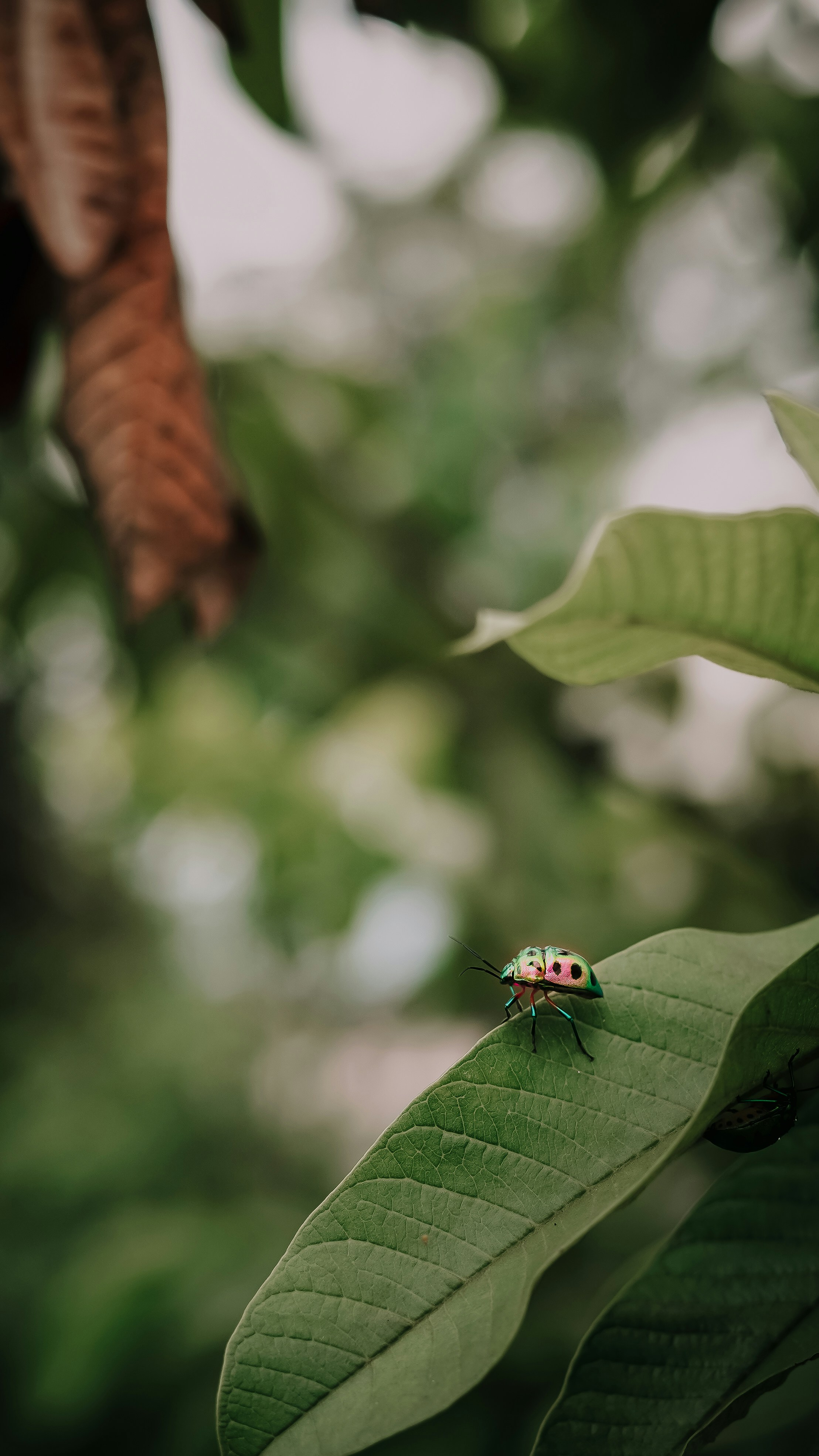 Photo by manasmanikoth