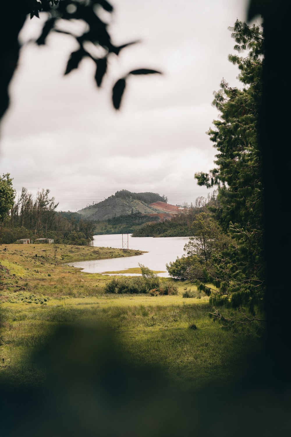 a large body of water surrounded by trees