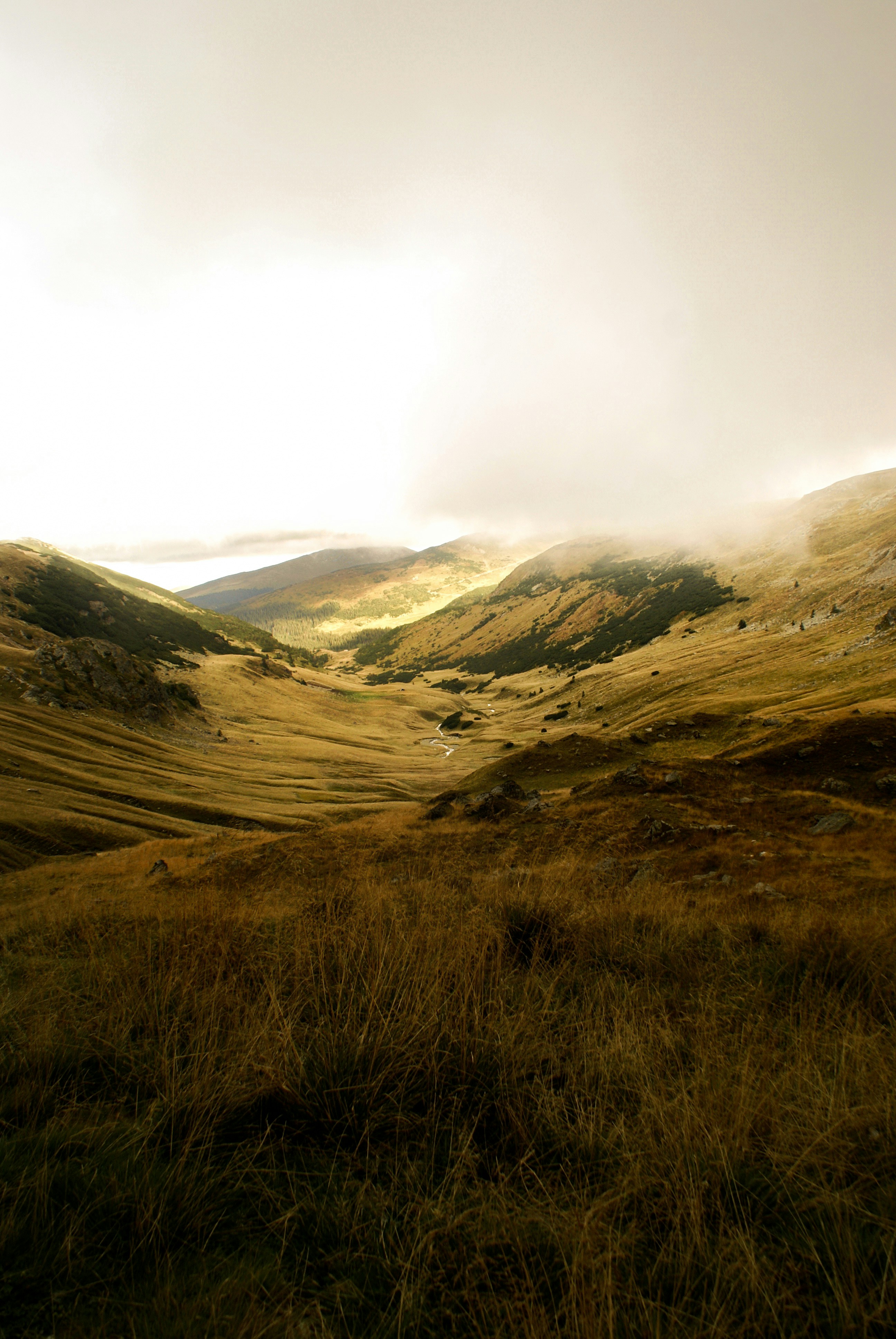 Photo by anamariavisuals