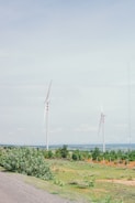 Solar panels and wind turbines powering a remote data center in a rural landscape.