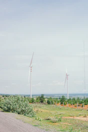 Solar panels and wind turbines generating green energy in a rural setting.