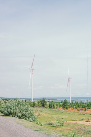 Engineers reviewing technical plans outdoors with wind turbines in the background.