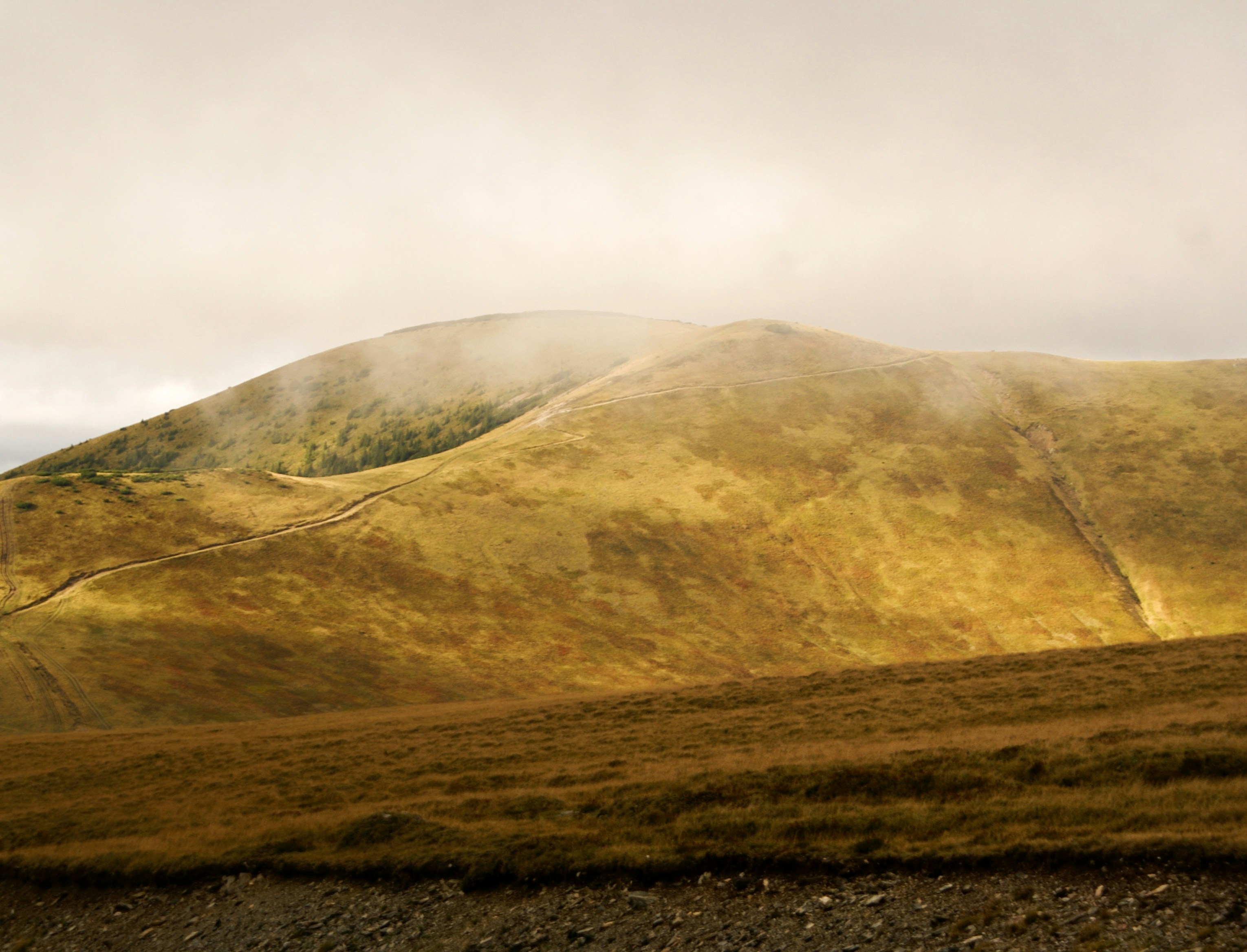 Photo by anamariavisuals