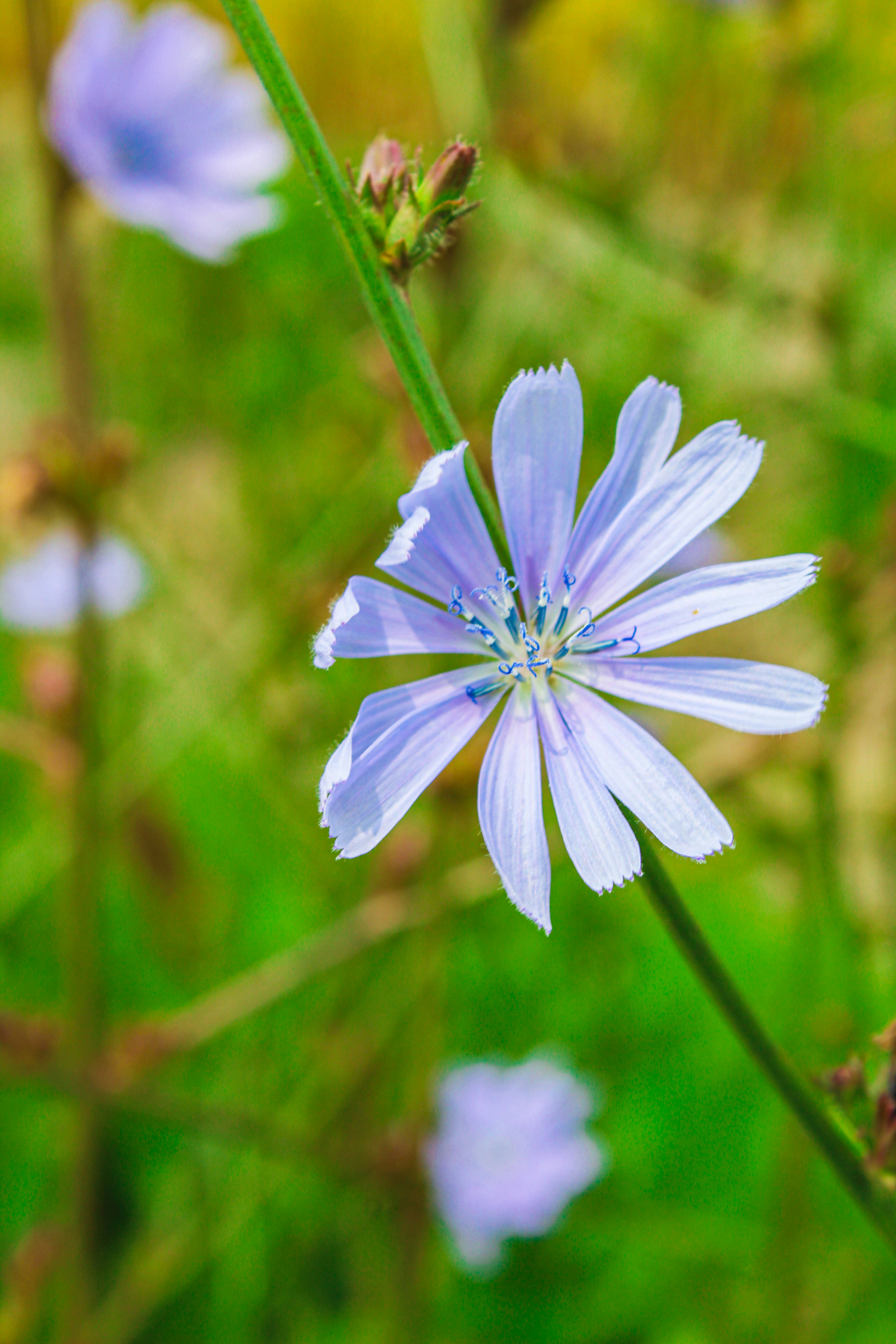 Photo by hh_photography5