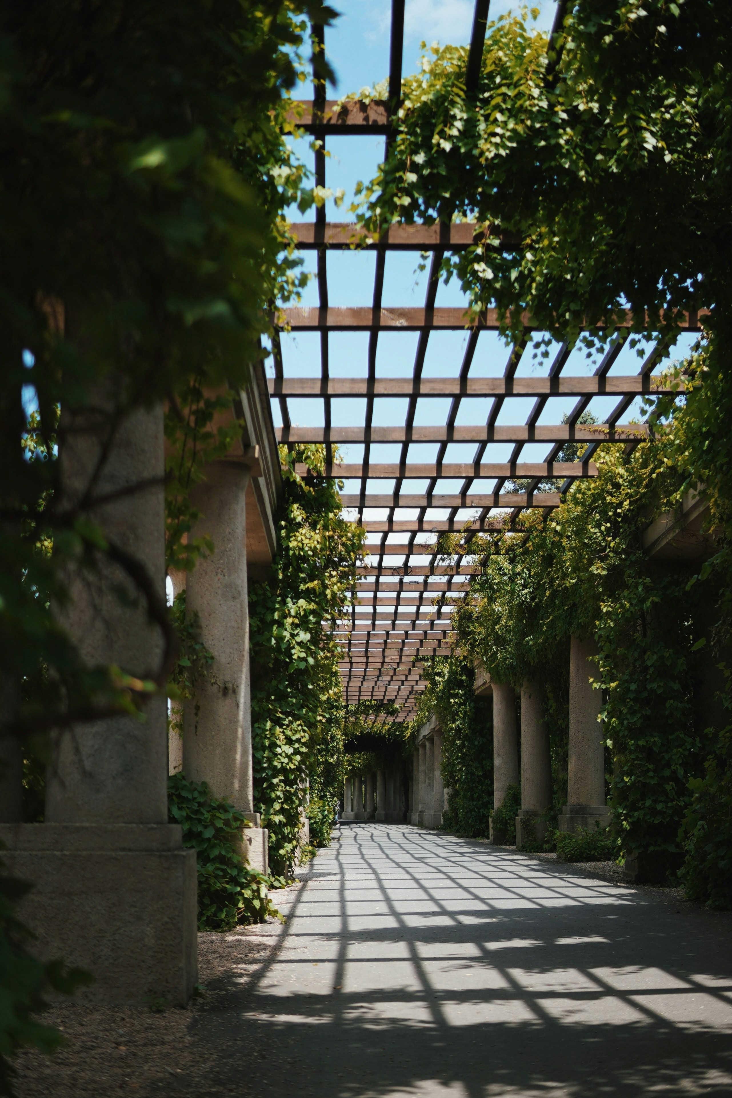 Photo by kateivanova__