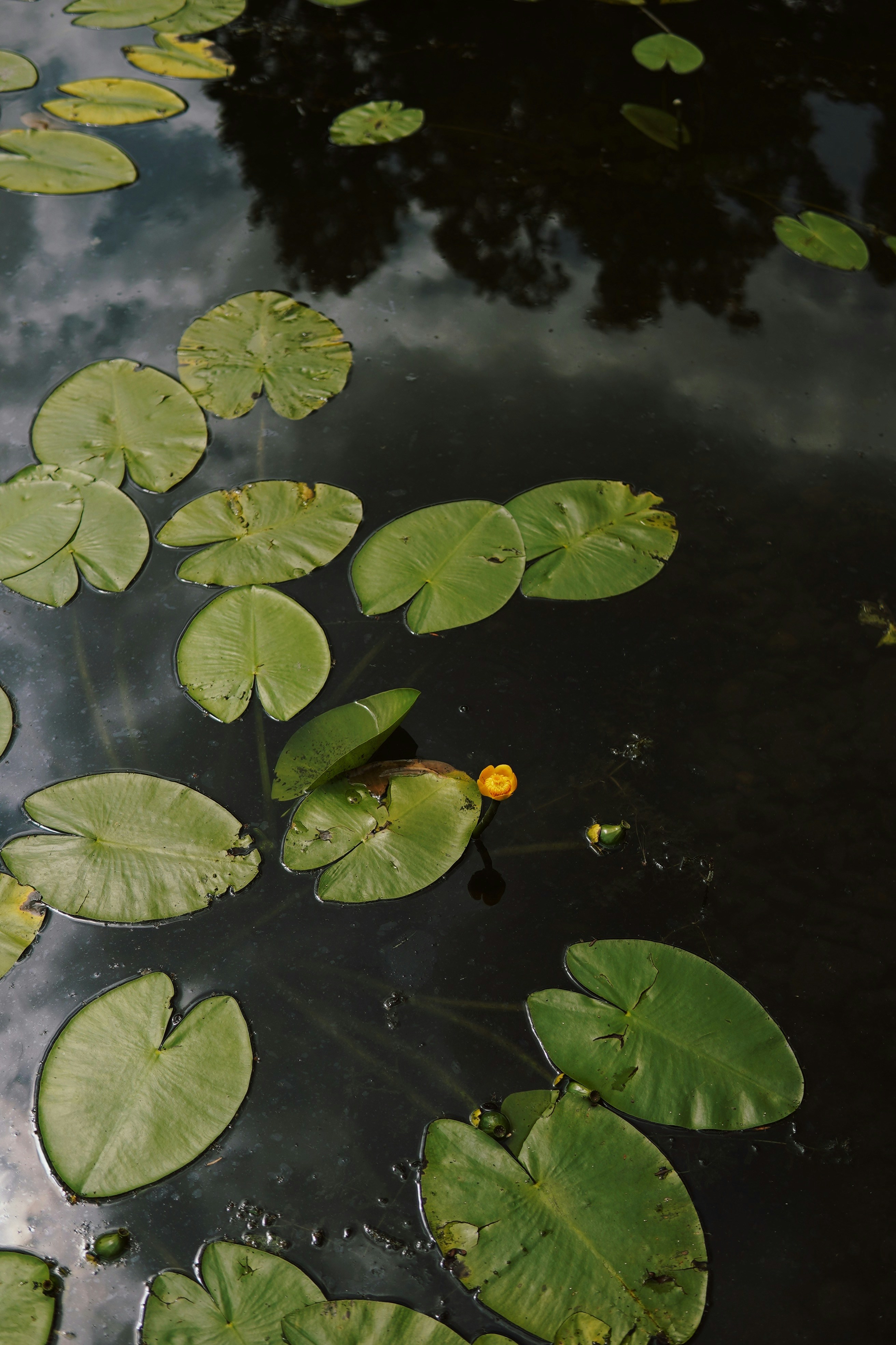 Photo by kateivanova__